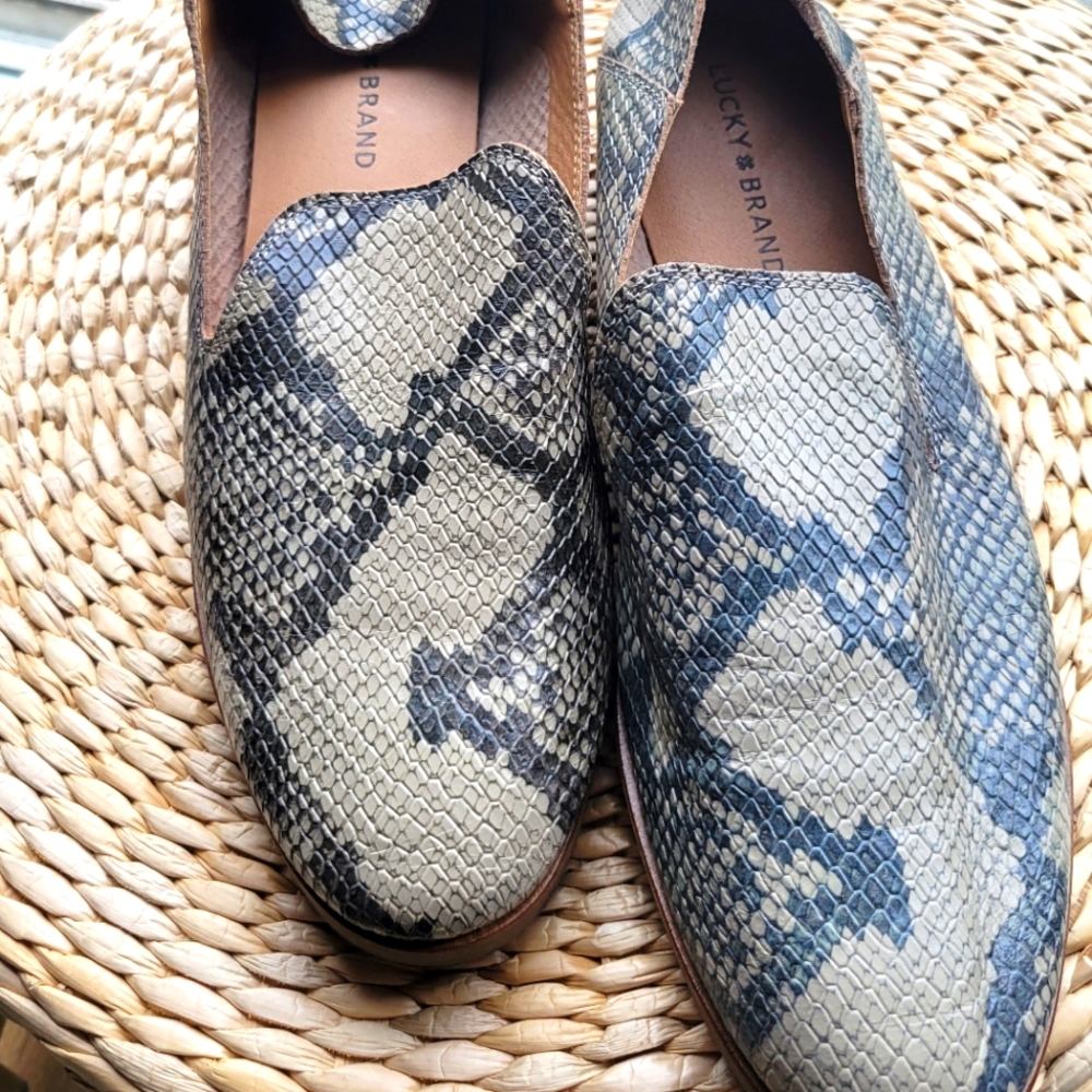 Lucky You Brand snake print leather